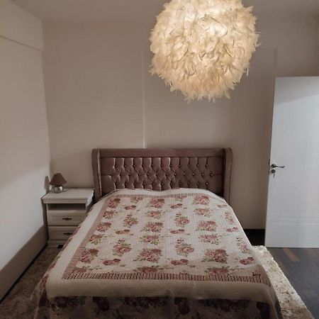 The Unique Apartment Roşu Dış mekan fotoğraf