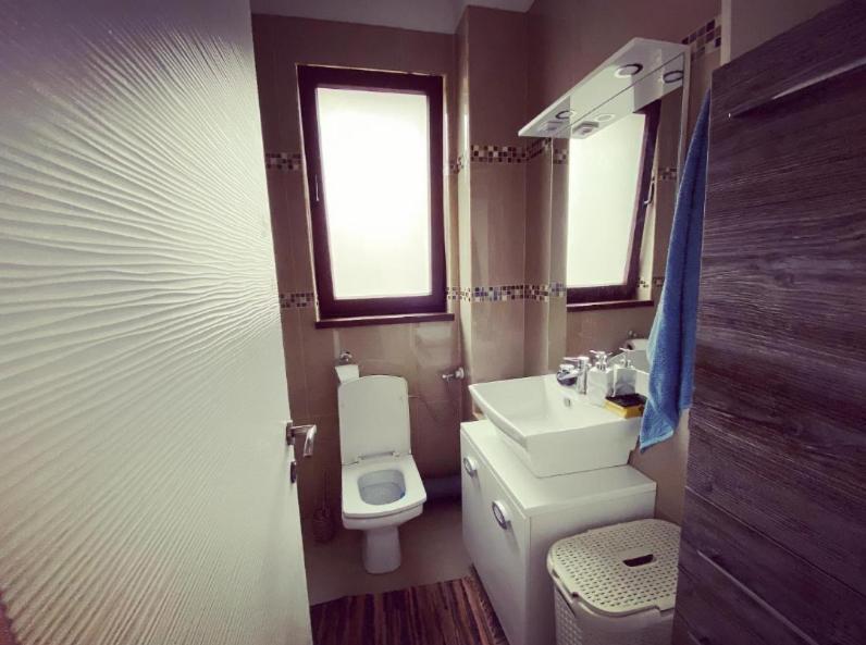 The Unique Apartment Roşu Dış mekan fotoğraf