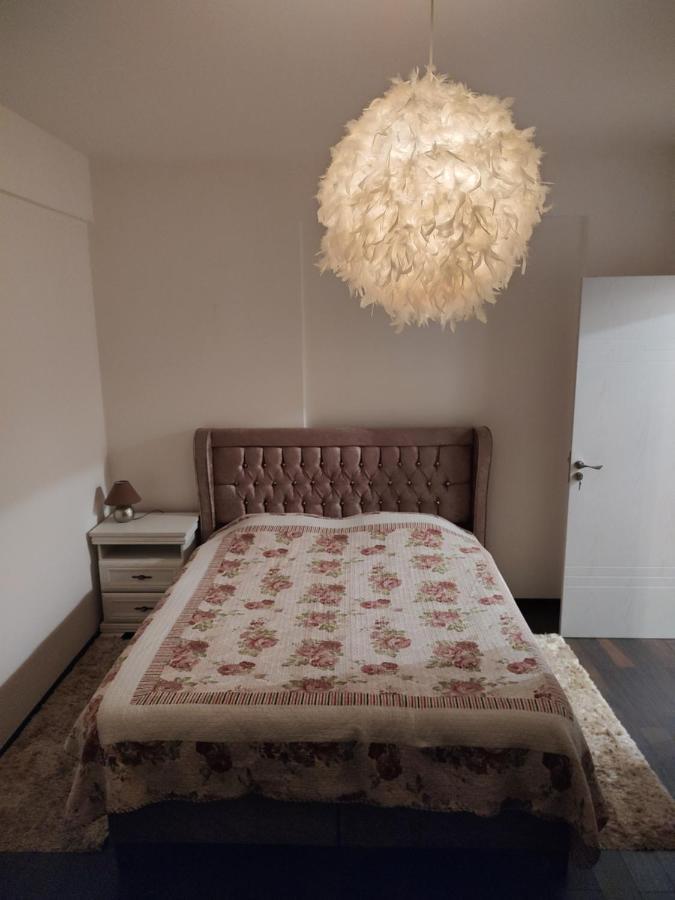 The Unique Apartment Roşu Dış mekan fotoğraf